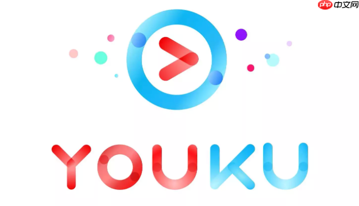 优酷为什么提示“网络连接异常”_优酷播放网络问题排查方法