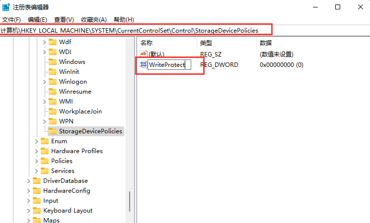 Win11磁盘被写保护怎么解除？