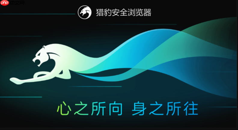 猎豹浏览器官方主页直达地址 猎豹浏览器平台入口官网直达链接