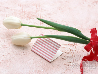 GIF格式普遍适用于图表