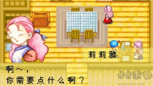 牧场物语矿石镇的伙伴们