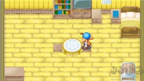 牧场物语矿石镇的伙伴们