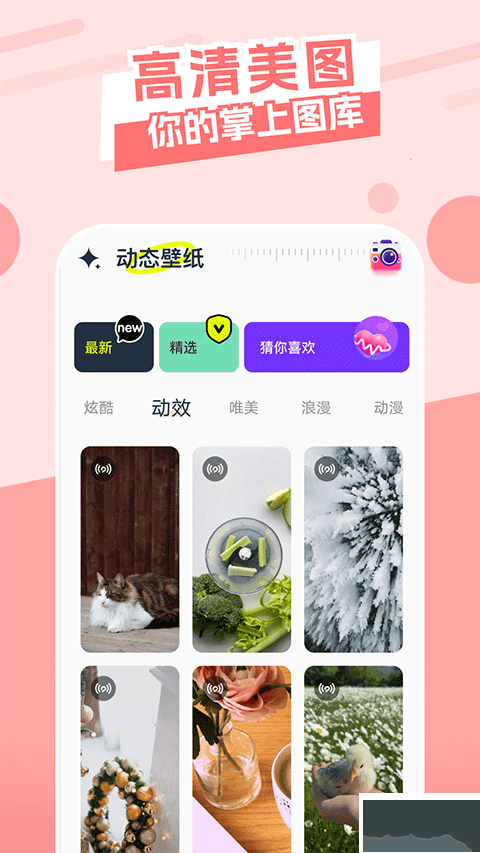 主题库下载_主题库v1.15最新版软件下载