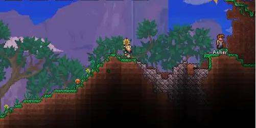 泰拉瑞亚蓝浆果是什么