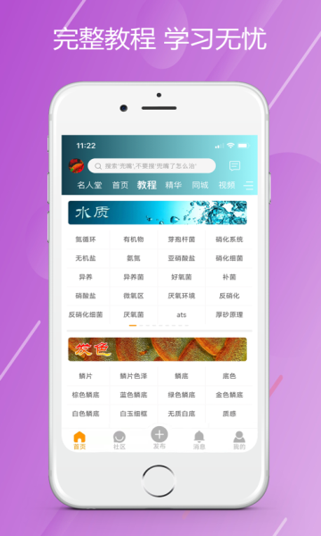 龙族论坛app