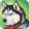 Zoom动物(Dog Simulator Animal Life)v1.0.0.5 安卓版(ZOOM狗动物高清)_美国Zoom动物游戏下载