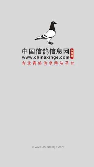 中国信鸽信息网官方appv20230112 最新版(信鸽信息网)_中国信鸽信息网app下载