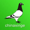 中国信鸽信息网官方appv20230112 最新版(信鸽信息网)_中国信鸽信息网app下载  v20230112 最新版