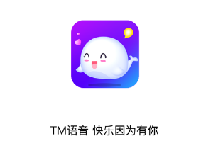 Tm语音app