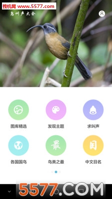 鸟叫声大全官方最新版下载 5.0.2(鸟叫声下载)_鸟叫声大全手机版app下载