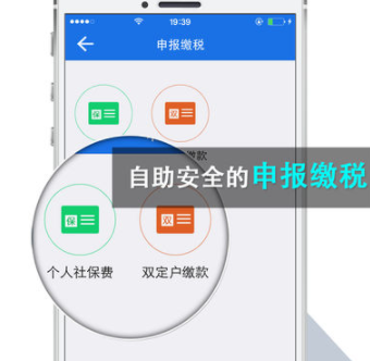 楚税通app最新版本下载