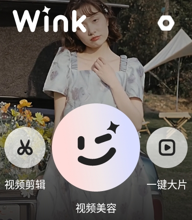 Wink app