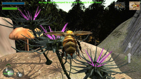 蜂巢模拟器3d(Bee Nest Simulation 3D)v1.0.1 安卓版(蜂巢游戏)_蜂巢模拟器3d中文版手机版下载