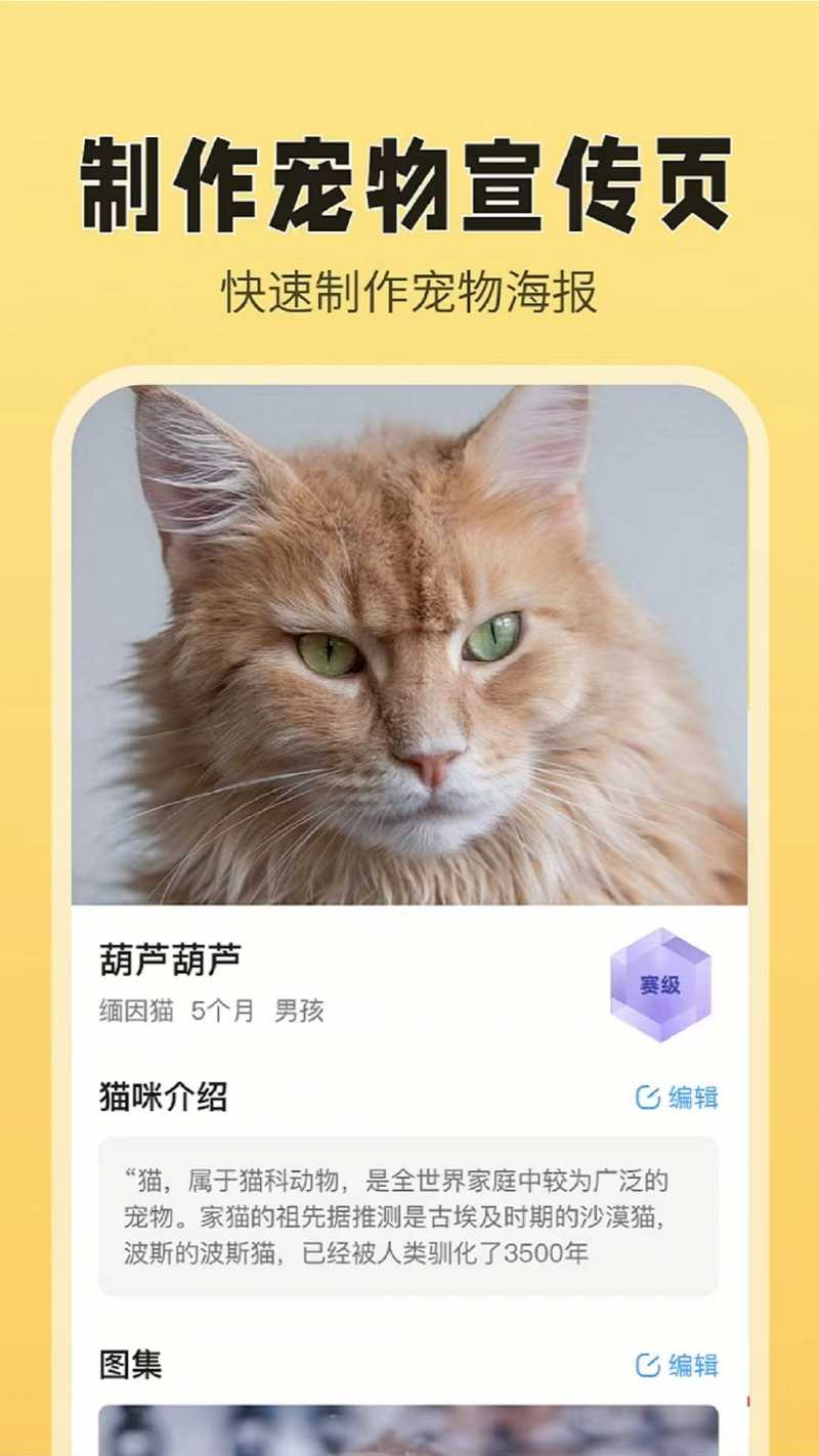 猫老板v1.0.0 最新版(猫老板网)_猫老板app下载