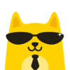 猫老板v1.0.0 最新版(猫老板网)_猫老板app下载