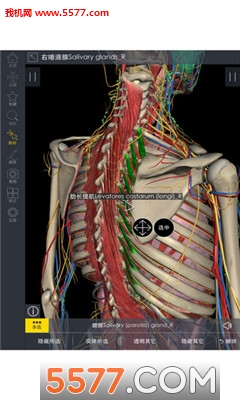3DBody系统解剖手机版下载v8.5.30(3DBODY解剖)_3D body解剖下载