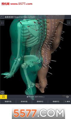 3DBody系统解剖手机版下载v8.5.30(3DBODY解剖)_3D body解剖下载