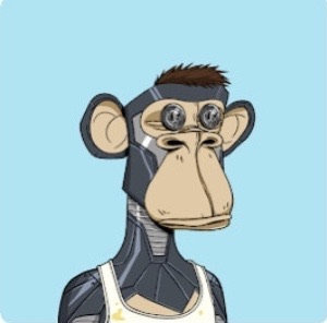 库里猴子头像图片高清无水印版下载 _库里猴子头像全套图片下载