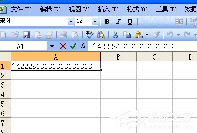 如何在Excel中输入身份证号?